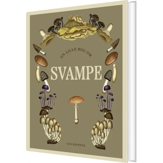 En lille bog om svampe – illustreret guide til Danmarks svampe