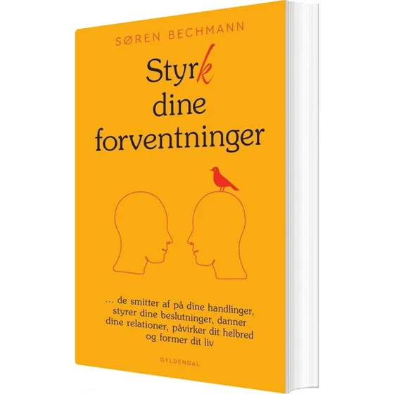 Styrk dine forventninger - Søren Bechmann (hæftet)
