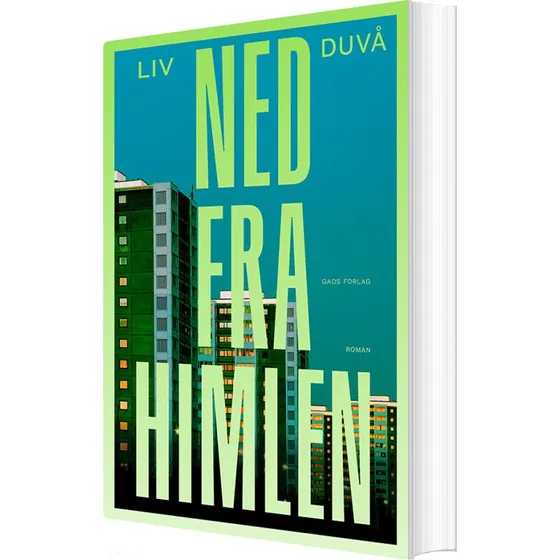 Ned fra himlen – roman af Liv Duvå
