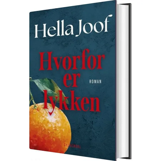 Hvorfor er lykken — Hella Joof (hardcover)