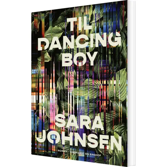Til Dancing Boy – roman af Sara Johnsen