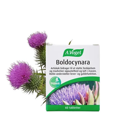 A. Vogel Boldocynara Tabletter, 60 stk.