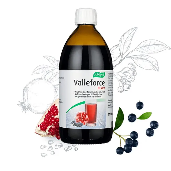 Valleforce Original Berry 500 ml