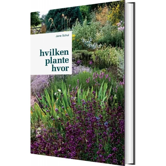 Hvilken plante hvor – guide til havens planter (Jane Schul)