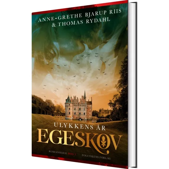 Ulykkens år – historisk roman af Anne-Grethe Bjarup Riis