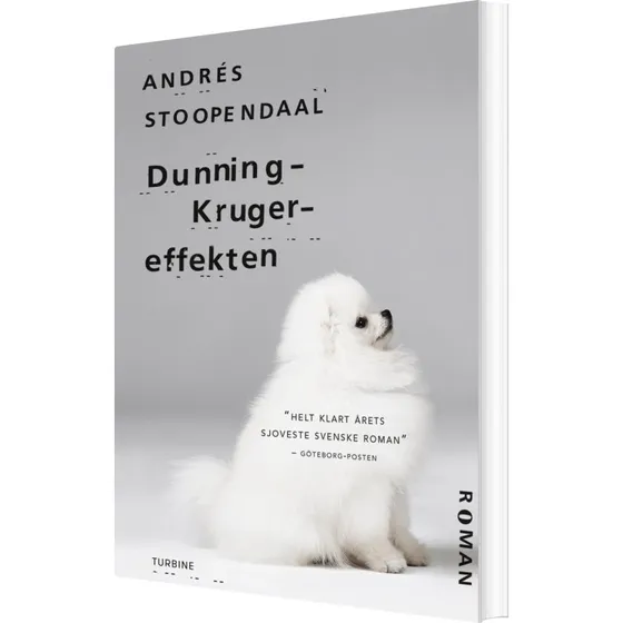 Dunning-Kruger-effekten — Andrés Stoopendaal