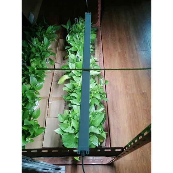 LEDlife 50W Philips LED vækstarmatur - 112,5 cm, RA95, IP65