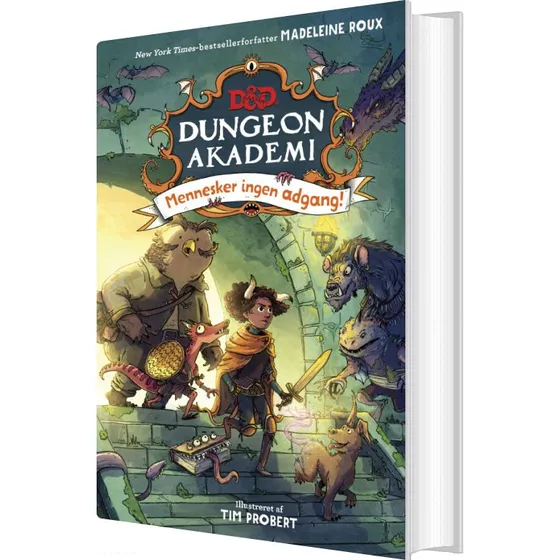 Dungeons & Dragons: Dungeon Akademi 1 – Mennesker