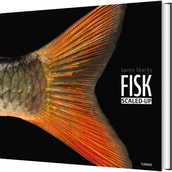 FISK – scaled-up (hardback) af Søren Skarby