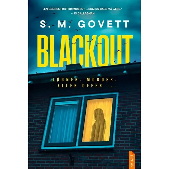 Blackout — S. M. Govett (Krimi, hæftet)
