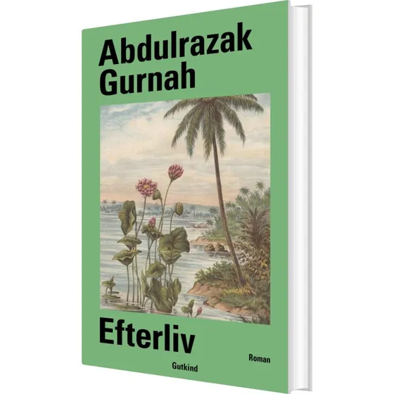 Efterliv - Abdulrazak Gurnah (hardcover)