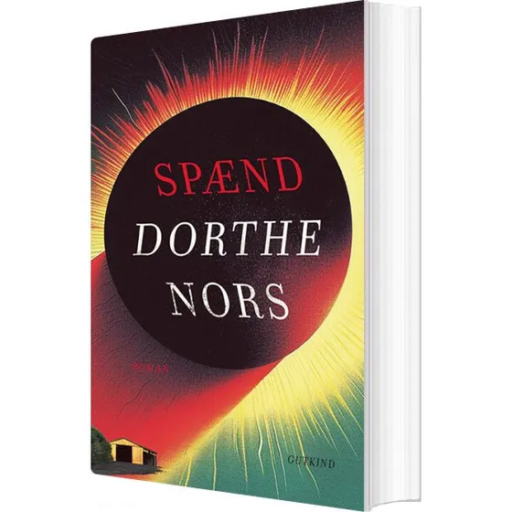 Professoren — Dorthe Nors (hæftet)