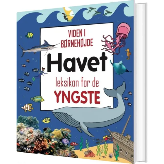 Havet - Leksikon for de yngste (hardcover)