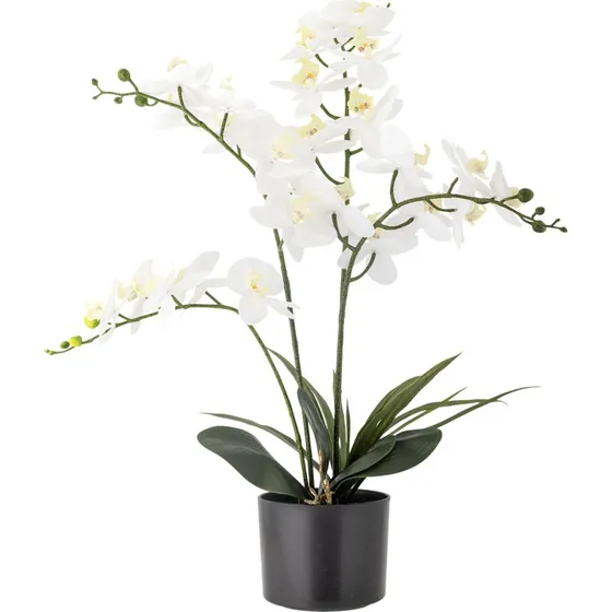 Bloomingville Orchid – Kunstig hvid orkidé