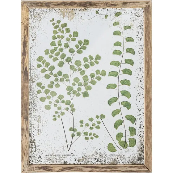 Tipper illustration i fyrretræsramme – grønne blade