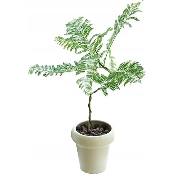 Kunstig Mimosa Jacaranda Plante i Potte - 110 cm