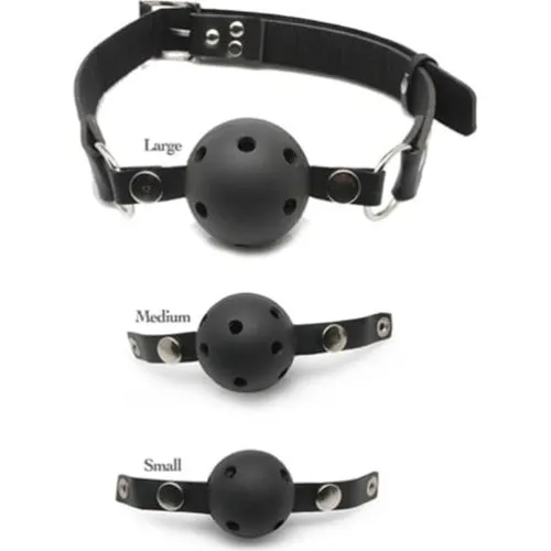 Pipedream Fetish Fantasy Ball Gag Training System