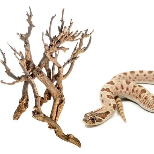 Grene til steppe/ørkenterrarium, 30-50 cm (2-3 stk.)