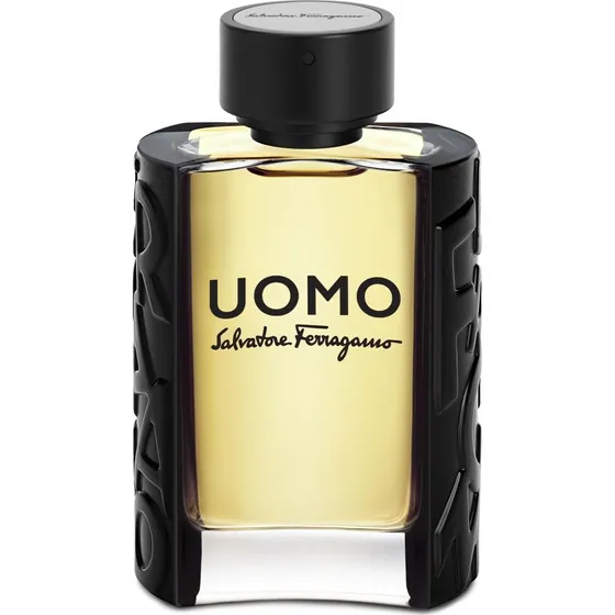 Salvatore Ferragamo Uomo EDT 100 ml