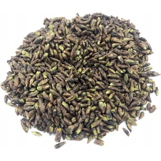 Birch Buds Gemmotherapi Sølvbirkeknopper - 200 g