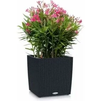 LECHUZA CUBE Cottage 40 cm Graphit Black