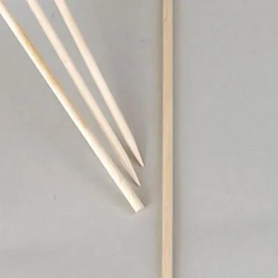 Nelson Garden 10 stk. blomsterpinde 50 cm (Ø 5 mm)