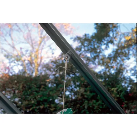 Juliana planteøjer, sort - 20 stk.