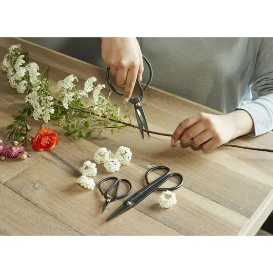 Kikkerland Havesakse Sæt 3 stk – Beskæring & Trim