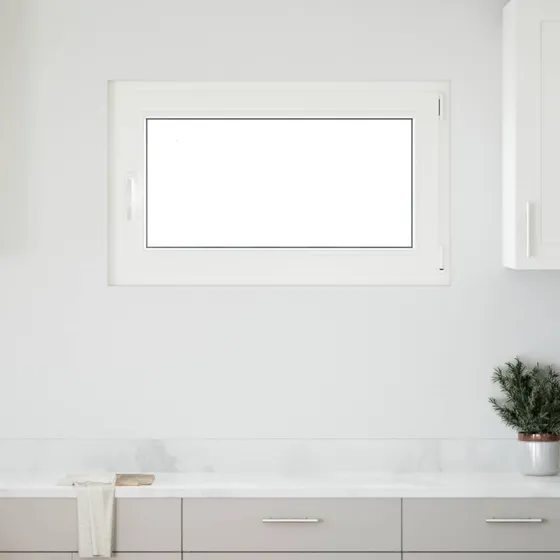 vidaXL RISOR Kældervindue 100 x 60 cm - Hvid