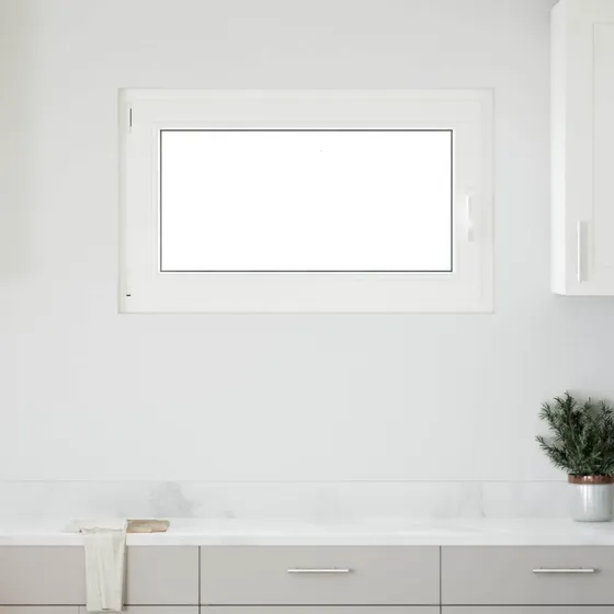 vidaXL RISOR Kældervindue 100 x 60 cm - Hvid