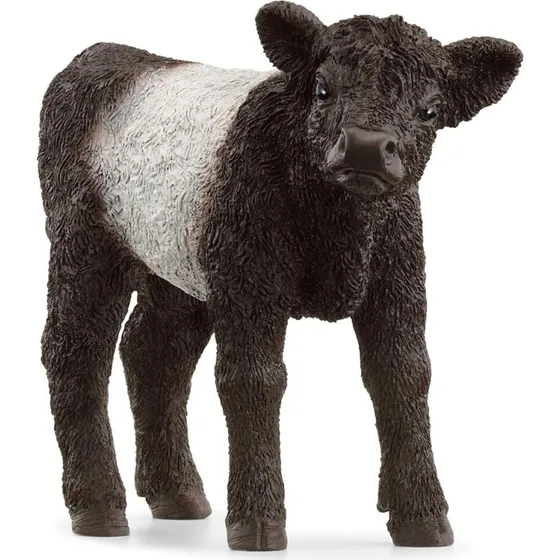 Schleich Galloway-kalv - realistisk legetøjsfigur