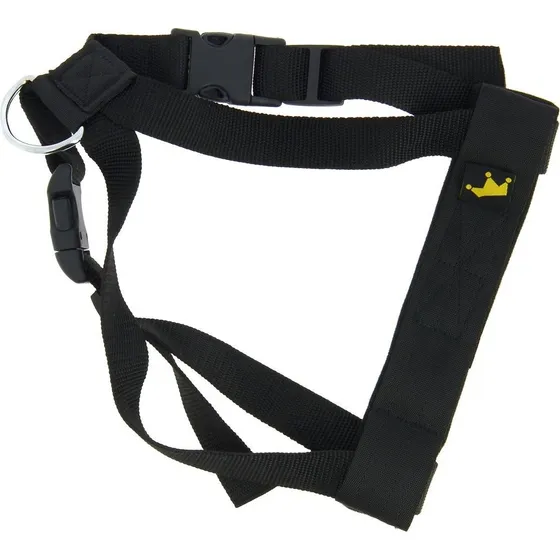 Animals & Car Sikkerhedssele til hund, Medium (op til 25 kg)