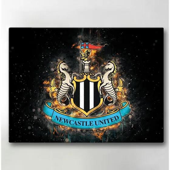 Newcastle United Lærredsbillede - 40x30 cm