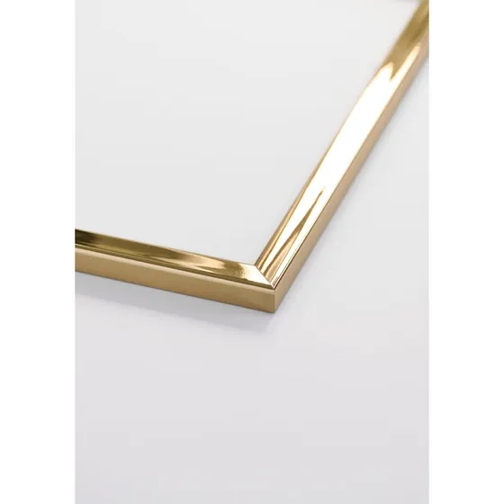 Ramme - Guld med 2 mm plexiglas
