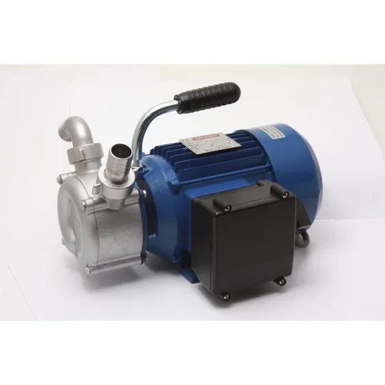 Speroni PM 25 Vand-/oliepumpe, 230V, 1", 60 l/min, AISI 304