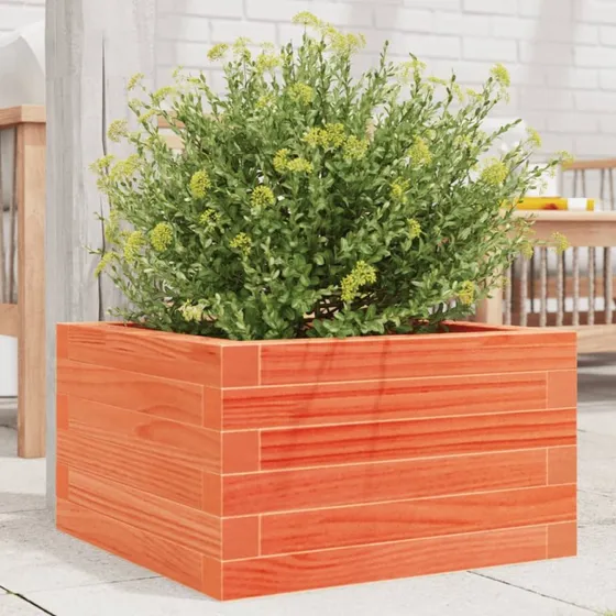 Plantekasse i massivt fyrretræ 40x40x23 cm – gyldenbrun
