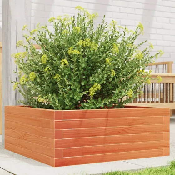 Plantekasse i massivt fyrretræ 60×60×23 cm - gyldenbrun