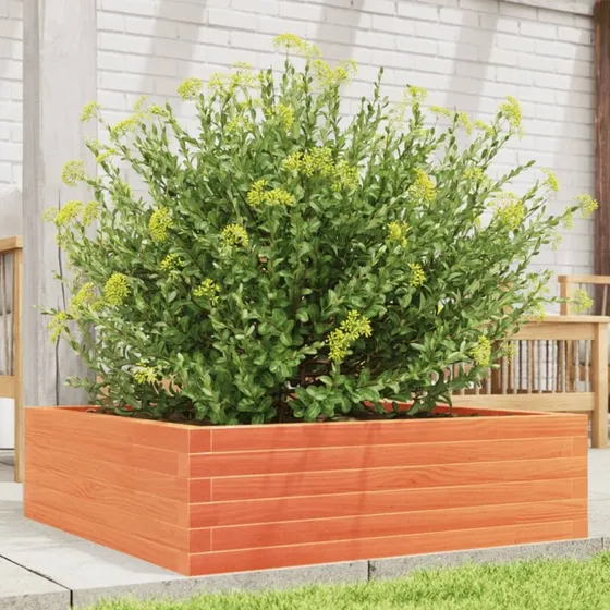 Plantekasse i massivt fyrretræ 80x80x23 cm – gyldenbrun