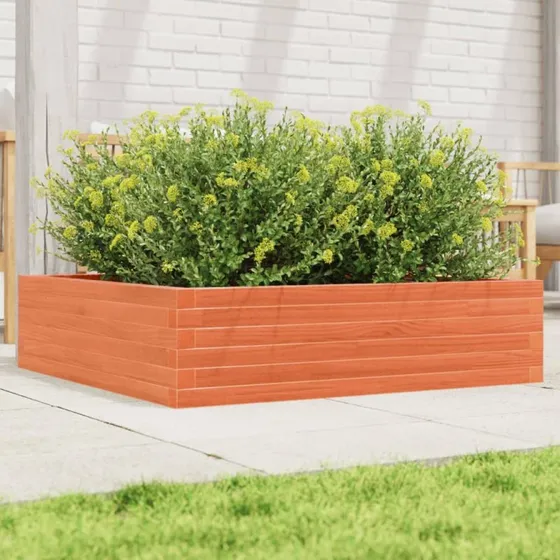 Plantekasse i massivt fyrretræ 90x90x23 cm – gyldenbrun