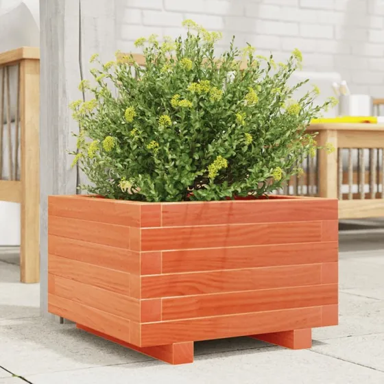 Plantekasse i massivt fyrretræ 40x40x26,5 cm – gyldenbrun