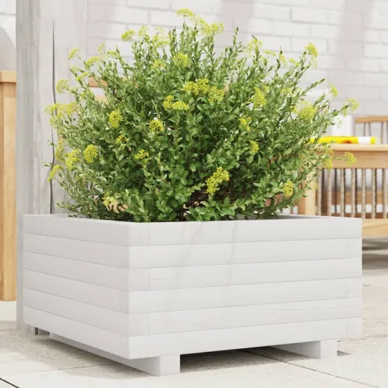 Plantekasse i massivt fyrretræ 50x50x26,5 cm – hvid