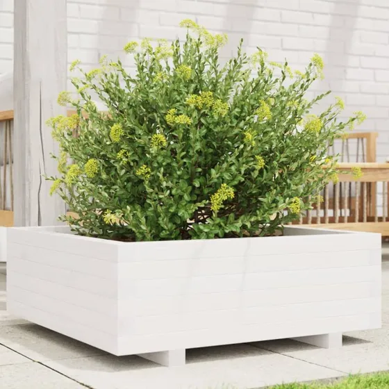 Plantekasse i massivt fyrretræ 70x70x26,5 cm – hvid