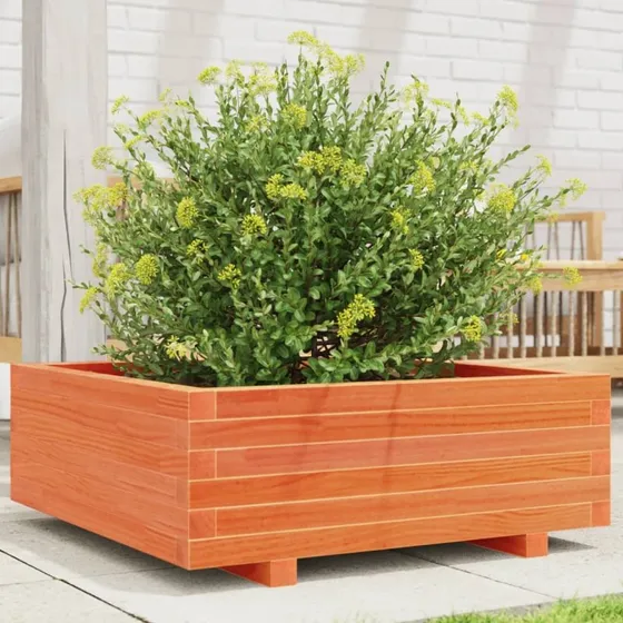Plantekasse 70x70x26,5 cm i massivt fyrretræ - gyldenbrun