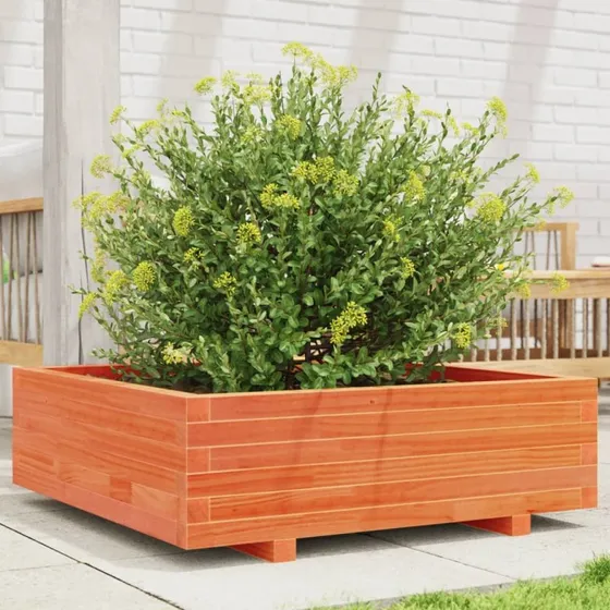 Plantekasse i massivt fyrretræ 80x80x26,5 cm - gyldenbrun