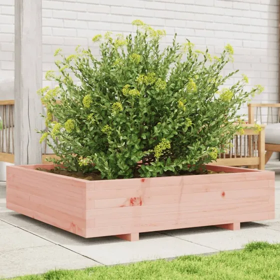 Plantekasse i massivt douglasgran 100x100x26,5 cm