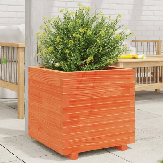 Plantekasse i massivt fyrretræ 50x50x49,5 cm