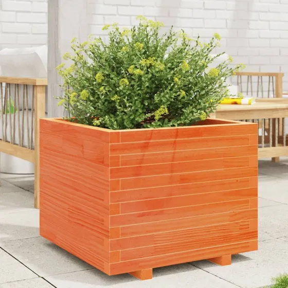 Plantekasse i massivt fyrretræ 60×60×49,5 cm – gyldenbrun