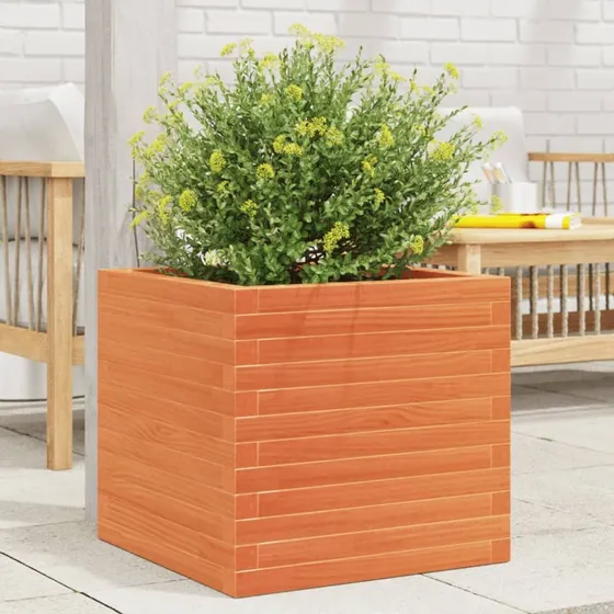 Plantekasse i massivt fyrretræ 50×50×46 cm – gyldenbrun