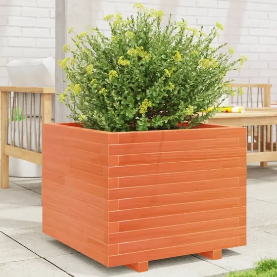 Plantekasse i massivt fyrretræ 60x60x49,5 cm – gyldenbrun