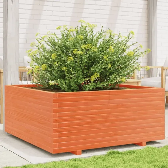 Plantekasse i massivt fyrretræ 110x110x49,5 cm – gyldenbrun